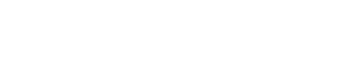 AI Gadget Pro